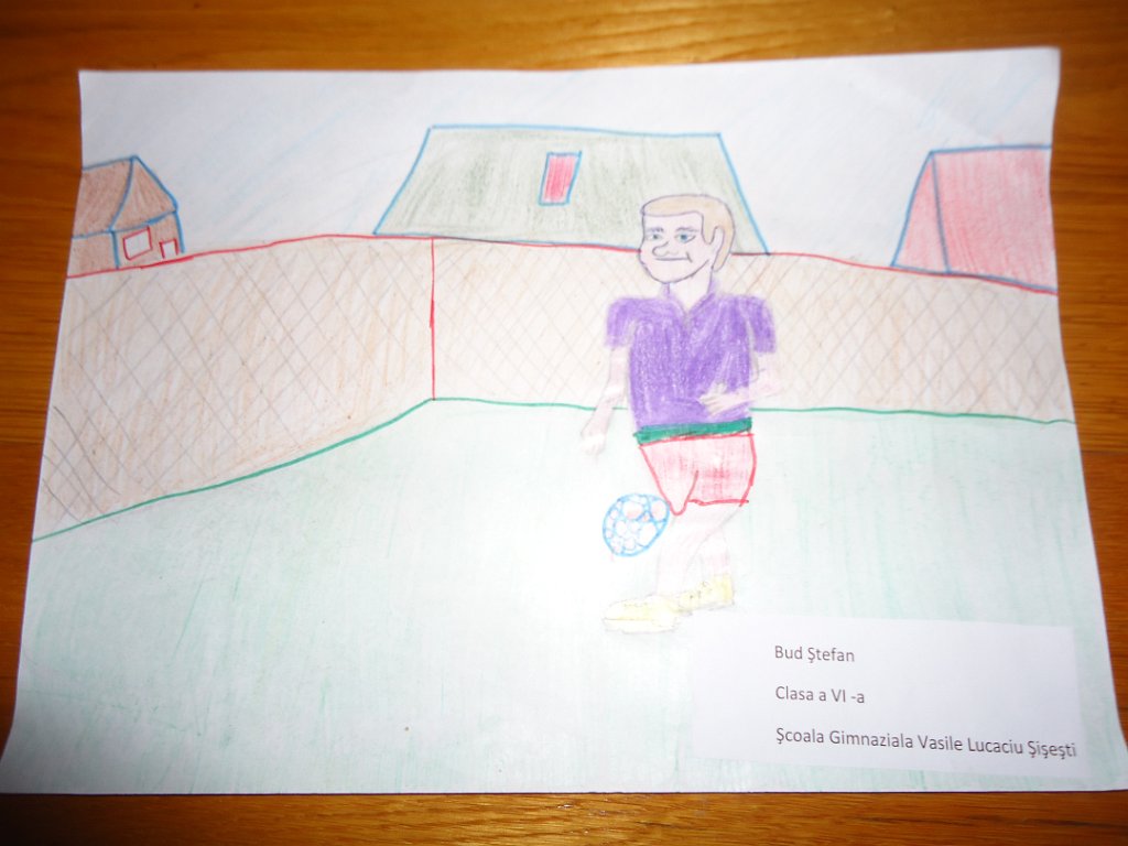 77_Bud Stefan_Sc Sisesti_GIMN.JPG